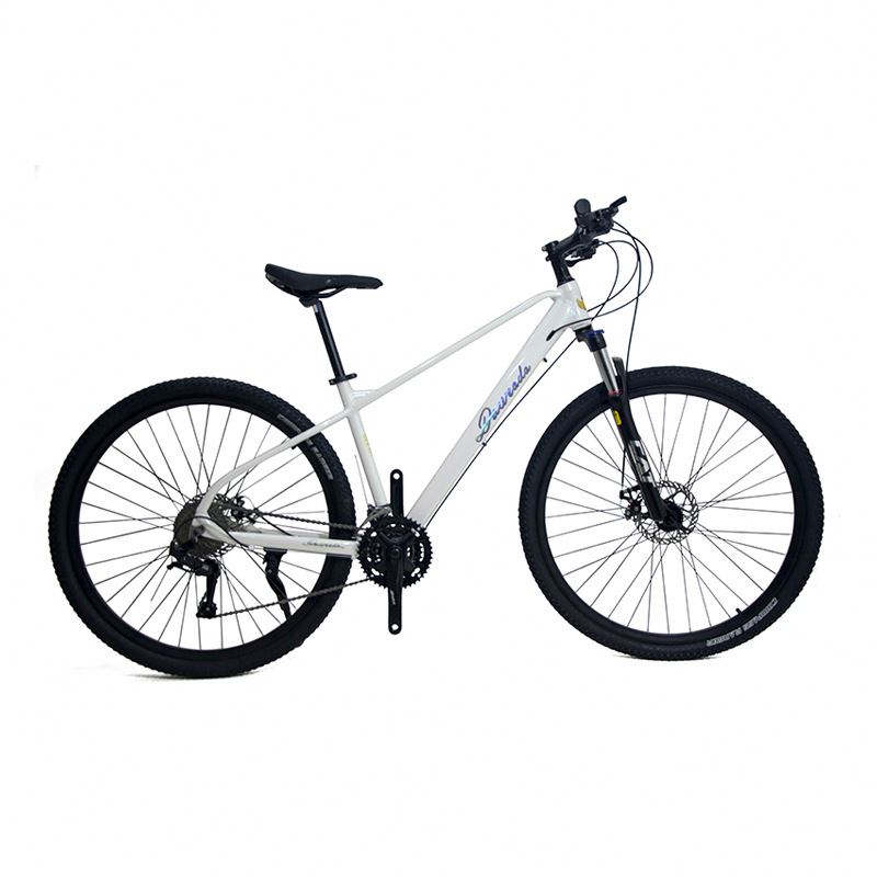 29 inch Aluminum Alloy Mountai - Mountain Biking Usa ulasan dan harga