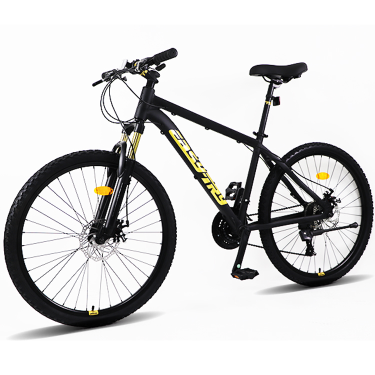 Fast Delivery Bikecmtb Bike OE - Mountain Biking Usa ulasan dan harga
