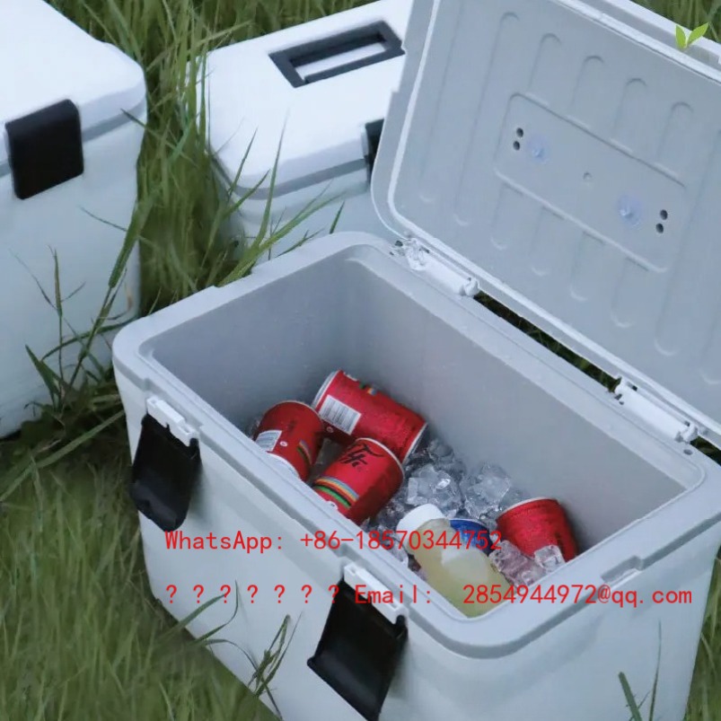 2026    Outdoor Cold Incubator - Mountain Biking Camp ulasan dan harga